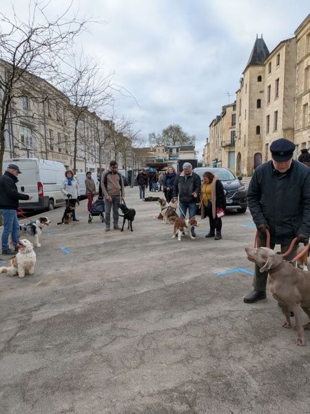 balade au marche de fontenay