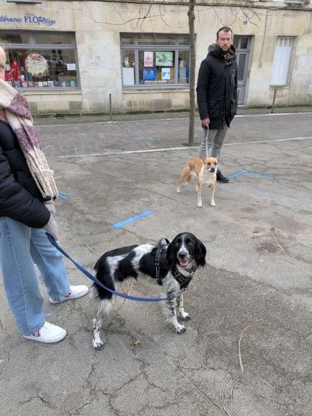 balade au marche de fontenay2