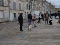 balade au marche de fontenay3