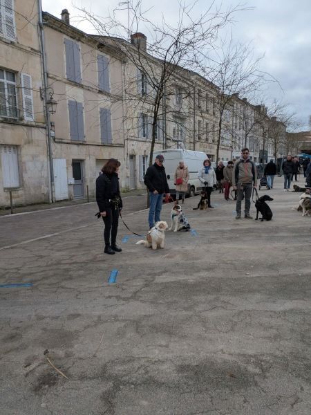 balade au marche de fontenay3