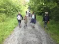 balade du