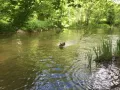 balade du