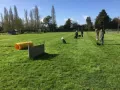 cours du